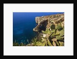 View of Blue Grotto, Malta by Anonymous