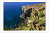 View of Blue Grotto, Malta by Anonymous