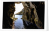 Rock cave and cliff, Xlendi, Gozo, Malta by Anonymous