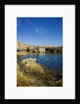 Rocky landscape near Fungus Rock, Dwejra, Gozo, Malta by Anonymous