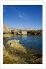 Rocky landscape near Fungus Rock, Dwejra, Gozo, Malta by Anonymous