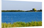 View of lake and reeds, Capalbio, Tuscany, Italy by Anonymous