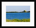 View of lake and reeds, Capalbio, Tuscany, Italy by Anonymous