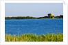 View of lake and reeds, Capalbio, Tuscany, Italy by Anonymous