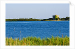 View of lake and reeds, Capalbio, Tuscany, Italy by Anonymous