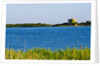 View of lake and reeds, Capalbio, Tuscany, Italy by Anonymous