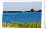 View of lake and reeds, Capalbio, Tuscany, Italy by Anonymous