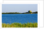 View of lake and reeds, Capalbio, Tuscany, Italy by Anonymous