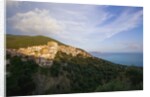 View of town and sea, Pisciotta, Campania, Italy by Anonymous
