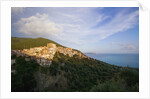 View of town and sea, Pisciotta, Campania, Italy by Anonymous