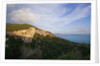 View of town and sea, Pisciotta, Campania, Italy by Anonymous