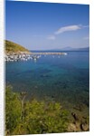 View of bay and harbor, Palinuro, Campania, Italy by Anonymous
