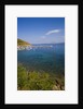 View of bay and harbor, Palinuro, Campania, Italy by Anonymous