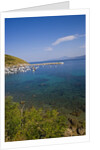 View of bay and harbor, Palinuro, Campania, Italy by Anonymous