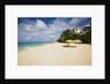 View of Turtle Cove beach, Lesser Antilles, Anguilla by Anonymous