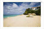 View of Turtle Cove beach, Lesser Antilles, Anguilla by Anonymous