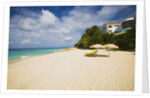 View of Turtle Cove beach, Lesser Antilles, Anguilla by Anonymous