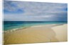 View of Shoal Bay, Anguilla, Lesser Antilles by Anonymous