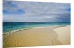View of Shoal Bay, Anguilla, Lesser Antilles by Anonymous