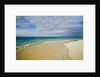 View of Shoal Bay, Anguilla, Lesser Antilles by Anonymous