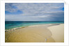 View of Shoal Bay, Anguilla, Lesser Antilles by Anonymous