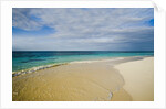 View of Shoal Bay, Anguilla, Lesser Antilles by Anonymous