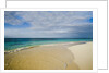 View of Shoal Bay, Anguilla, Lesser Antilles by Anonymous