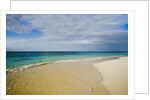 View of Shoal Bay, Anguilla, Lesser Antilles by Anonymous