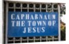 Capernaum by Anonymous