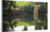 Jordan River by Anonymous