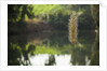 Jordan River by Anonymous