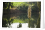 Jordan River by Anonymous
