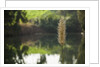 Jordan River by Anonymous