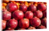 Pomegranates in Carmel Market by Anonymous