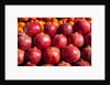Pomegranates in Carmel Market by Anonymous
