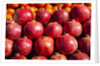 Pomegranates in Carmel Market by Anonymous