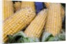 Fresh sweet corn in Carmel Market by Anonymous