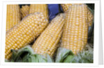 Fresh sweet corn in Carmel Market by Anonymous