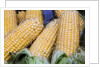 Fresh sweet corn in Carmel Market by Anonymous