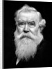 Senior man portrait, ca. 1910 by Anonymous