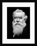 Senior man portrait, ca. 1910 by Anonymous