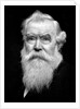 Senior man portrait, ca. 1910 by Anonymous