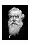 Senior man portrait, ca. 1910 by Anonymous