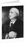 Senior man portrait, ca. 1910 by Anonymous