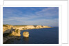Coast near town, Boniface, Corsica, France by Anonymous