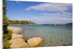 Beach near Porto Novo gulf, Corsica, France by Anonymous