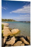 Beach near Porto Novo gulf, Corsica, France by Anonymous