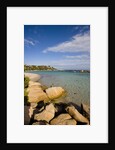 Beach near Porto Novo gulf, Corsica, France by Anonymous