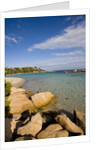 Beach near Porto Novo gulf, Corsica, France by Anonymous