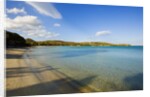 View of Santa Giulia bay, Corsica, France by Anonymous
